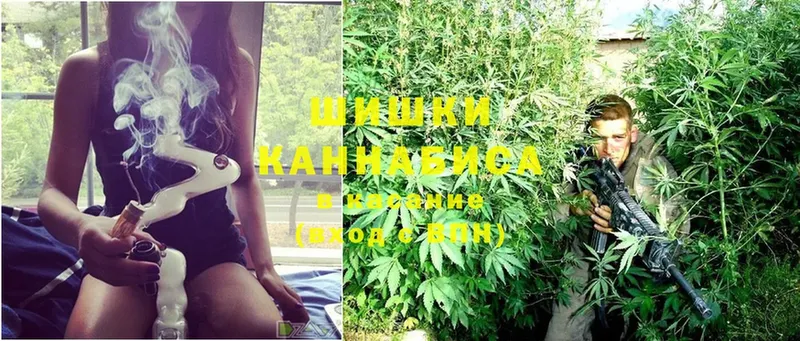 купить наркотик  Конаково  сайты даркнета формула  Конопля SATIVA & INDICA 